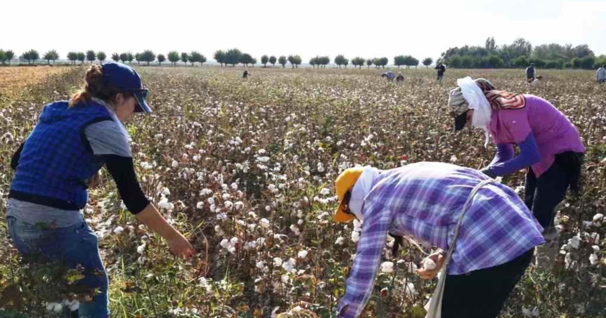 Стрибьютер екі ер адаммен жыныстық қатынасқа түседі