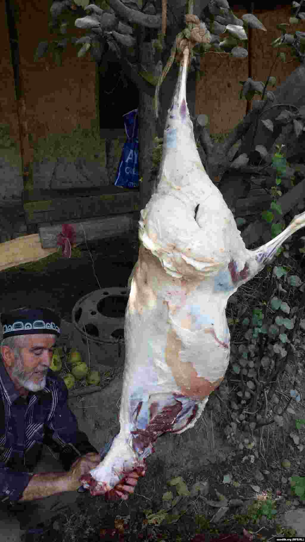 Душанбе яқинидаги Ваҳдат тумани Мулладавлат қишлоғида қурбонликка қўй сўйилмоқда