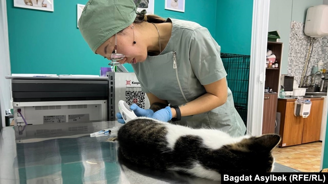 Қыздар нені ұнатады деп санайды: анальды секс немесе куннилингус?