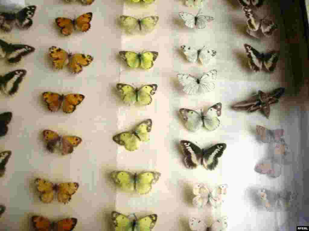 Рангҳои Помир #21