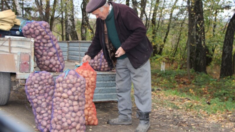 CNPC spune că scumpirea „fără precedent” a cartofilor în R. Moldova ar fi fost cauzată de înțelegeri de cartel
