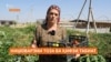 Кишоварзони аз Австралия барои ғизои пок ва ҳифзи муҳити зисти Тоҷикистон талош доранд