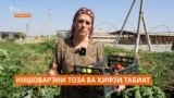 Кишоварзони аз Австралия барои ғизои пок ва ҳифзи муҳити зисти Тоҷикистон талош доранд