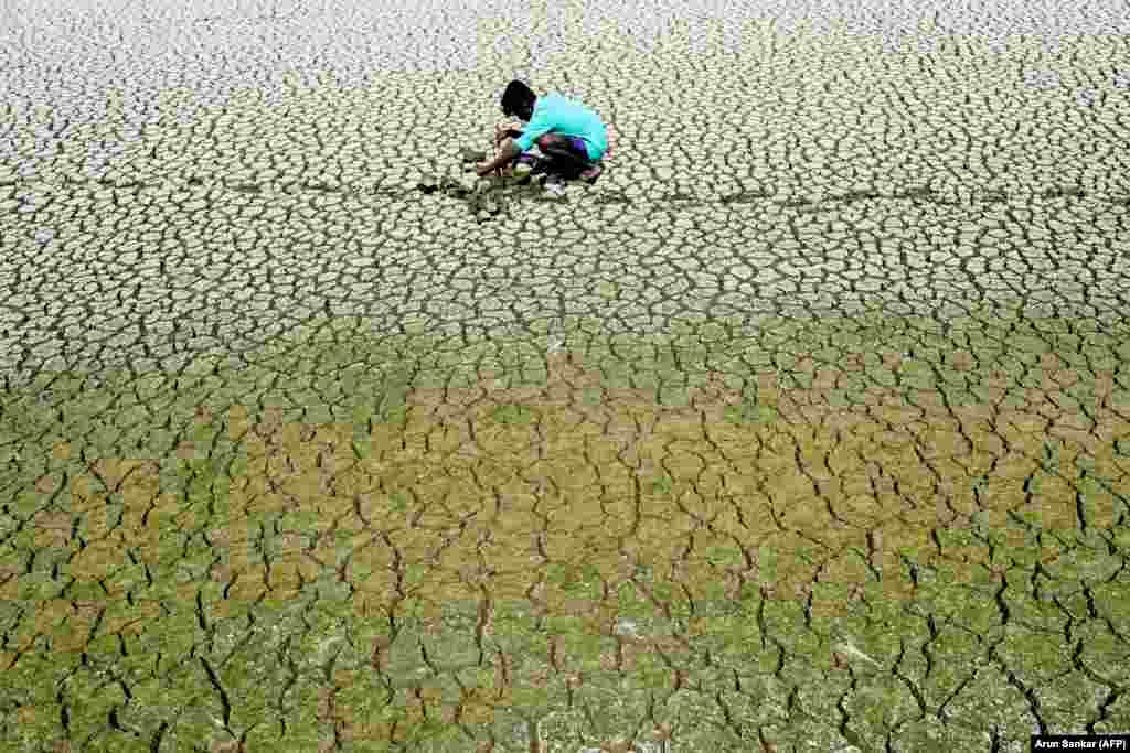 An Indian boy scouts around for mud crabs and snakehead fish as he walks on the parched bed of Chembarambakkam Lake on the outskirts of Chennai. Water levels in the four main reservoirs in Chennai have fallen to one of their lowest levels in 70 years, according to Indian media reports, with the current levels amounting to only 1.3 percent of full capacity. (AFP/Arun Sankar)