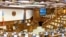 Парламент Молдови, фото ілюстративне