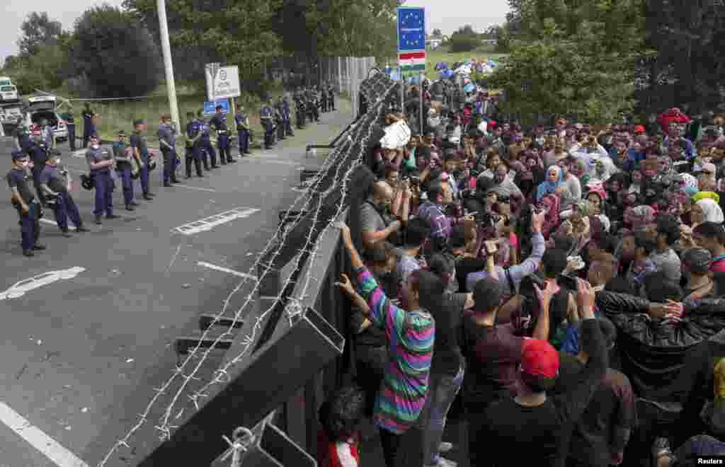 Мігранти стоять перед огорожею на кордоні з Угорщиною поблизу міста Хорґош, що в Сербії. Праве крило уряду Угорщини напередодні, 15 вересня, провело ініціативу закриття головного сухопутного маршруту для мігрантів в Європейський союз, аби зупинити наплив біженців до Європи