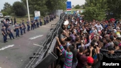 На угорсько-сербському кордоні мігранти пішли на прорив
