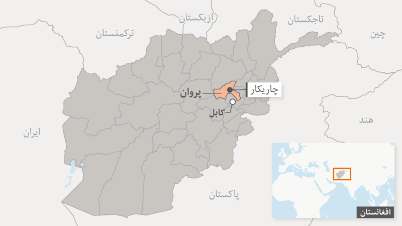 د پروان چارواکي: په هوايي حمله کې ۲ وسله‎وال طالبان وژل شوي