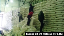 Angajații unei fabrici de zahăr din R. Moldova, în proces de lucru