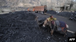 A miner unloads coal from his donkeys outside a coal mine in Samangan Province.