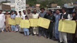 په سوات کې د ونو وهلو پرضد مظاهره