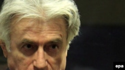 Bosnian Serb leader Radovan Karadzic