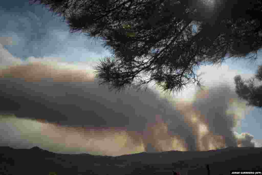 Vasárnapig mintegy hétezer hektáron égett le az erdő az országban