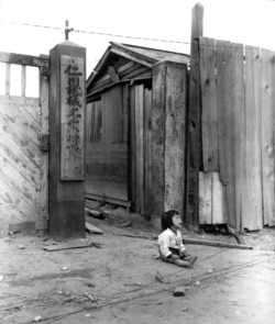Дете от Южна Корея седи само на улицата по време на престрелки в Инчон през 1951 г.