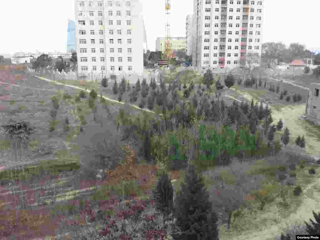 «Botanika Bağı» 2 aprel 2014