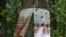Агавайрем в Йошкар-Оле в 2018 году
