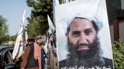 واکنش فعالان مدنی به حکم بازداشت هبت الله آخندزاده
