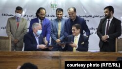 امضای تفاهم‌نامه کمک به مالداران افغانستان میان وزارت زراعت افغانستان، کمیته هالند و سازمان جهانی خوراک سازمان ملل