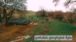 გორანის ცხოვრების წესი