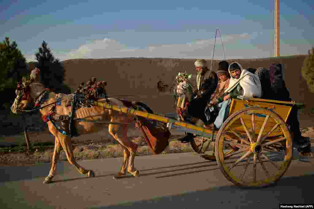 People ride a horse cart along a street in the old quarter of Herat, Afghanistan. (AFP/Hoshang Hashimi)