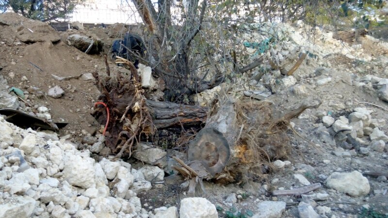 Севастополь: в Загородной балке – кучи мусора и срубленных деревьев (+фото)