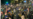 16x9 Image