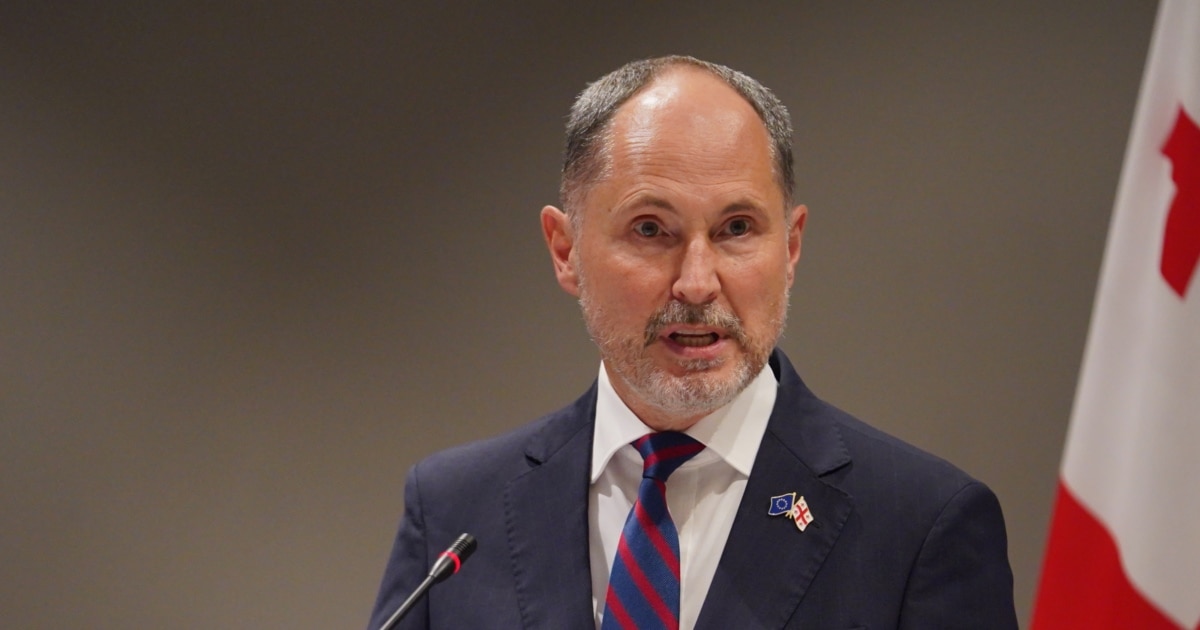 ჰერჩინსკი აცხადებს, რომ ბოლო წლის მოვლენები აჩენს "სერიოზულ" კითხვას, "ნამდვილად სურს თუ არა საქართველოს ევროკავშირში გაწევრიანება"