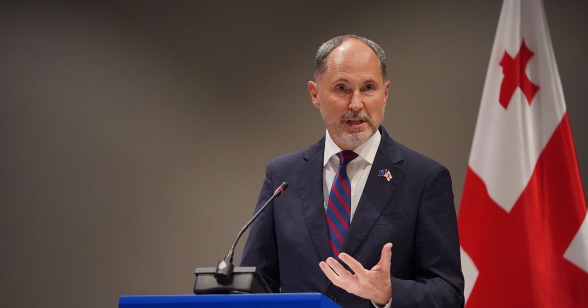 ჰერჩინსკი: EU-ის წევრთა უმრავლესობა საქართველოსთვის უვიზო მიმოსვლის შეჩერების წინააღმდეგია