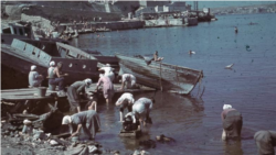Местные женщины стирают в Севастопольской бухте, июль 1942 года