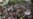 Thousands At Gulf, N.Africa Marches
