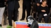 ۳۰ جنجال یک رئیس‌جمهور (۲۰): پیام تسلیت به مناسب درگذشت چاوز
