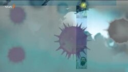 صبحانه با خبر