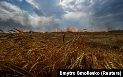 Загоревшееся вследствие обстрела пшеничное поле. Граница Донецкой и Запорожской областей, 17 июля 2022 года