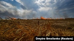 Горящее пшеничное поле у линии фронта на административной границе между Запорожской и Донецкой областями, 17 июля 2022 г.