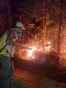 Fire in Deliblatska peščara