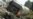 Ingushetians On Trial For 'Nevsky Express' Bomb Attack
