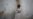 UN: 100,000 Flee Pakistan Fighting