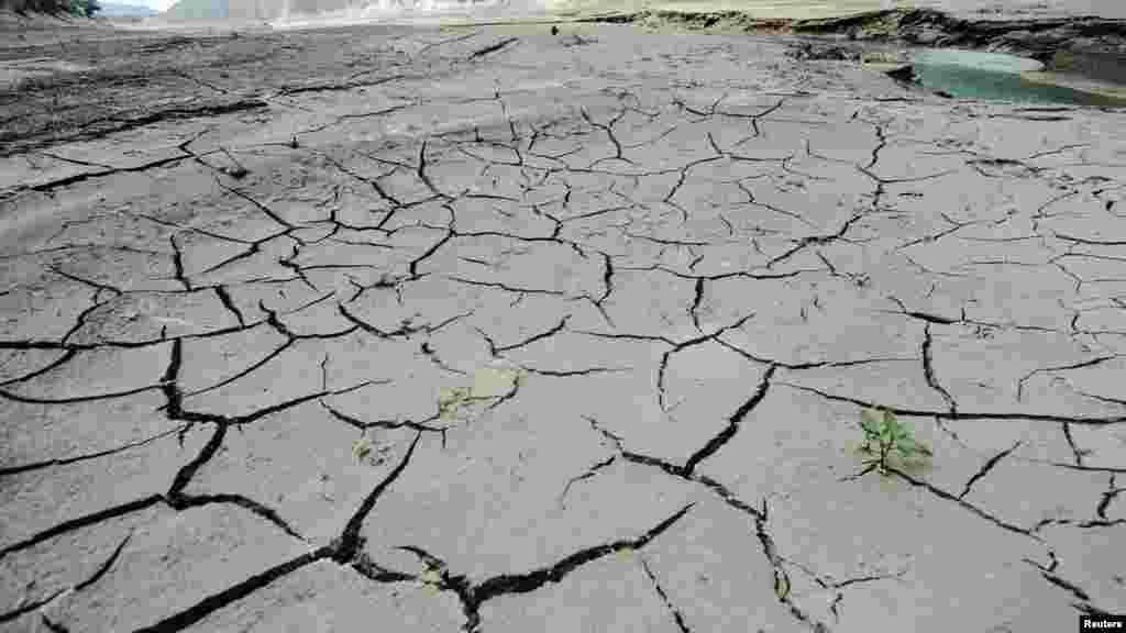 Makedonija - Dugotrajne suše, velike vrućine potpuno su isušile obalu jezera Debar, udaljenog oko 150 kilometara od Skopja, 1. septembar 2012. Foto: REUTERS/ Ognen Teofilovski