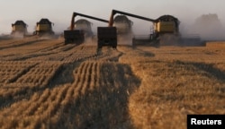 Agriculture is the only sector of the Russian economy that has shown continuous growth, but agriculture’s share of Russian GDP is just over 3 percent.