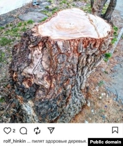 Фото из инстаграма Андрея Акузина