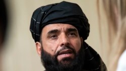 سهیل شاهین سخنگوی دفتر سیاسی طالبان در قطر