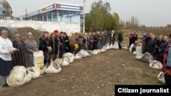 Бўка туманилик теримчи аёллар.