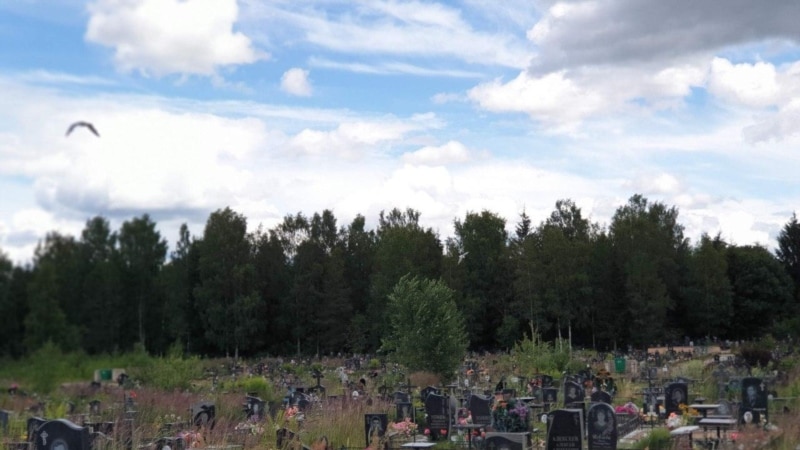 В Пскове депутатов попросили прийти на кладбище и сфотографироваться в честь Дня Победы