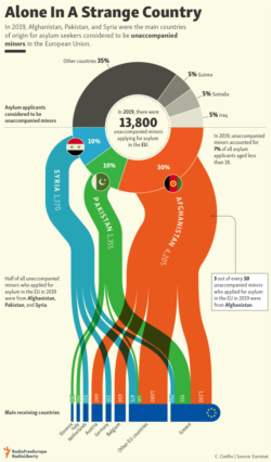 Infographic - Asylum Minors