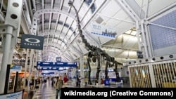 O'Hare Beynəlxalq Aeroportu