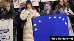 სოციალურ მუშაკთა დამოუკიდებელი პროფესიული კავშირი კანონში ახალ ცვლილებებს ეხმაურება. ფოტო პროფკავშირის ფეისბუკიდან/არქივიდან