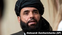 Taliban spokesman Suhail Shaheen rejected the cease-fire offer, saying the militants will keep fighting because of ongoing disagreements with the government. (file photo)