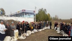 В Узбекистане женщины из малоимущих семей выходят на сбор хлопка из-за того, что за сбор урожая им в тот же день выдают наличные деньги.