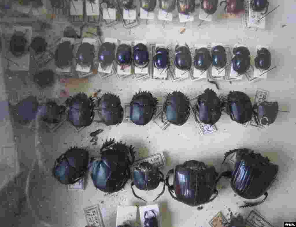 Осорхонаи Хатлон #94