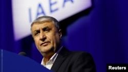 Mohamad Eslami, šef iranske Organizacije za atomsku energiju (arhivska fotografija)